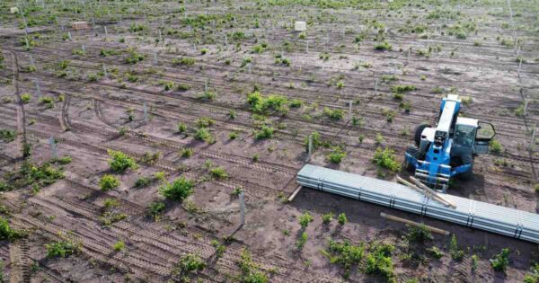 Máquina de operação logística posicionada em área de implantação de infraestrutura com estacas no solo, ilustrando etapa de desenvolvimento de projetos industriais alinhados à sustentabilidade na cadeia de suprimentos.